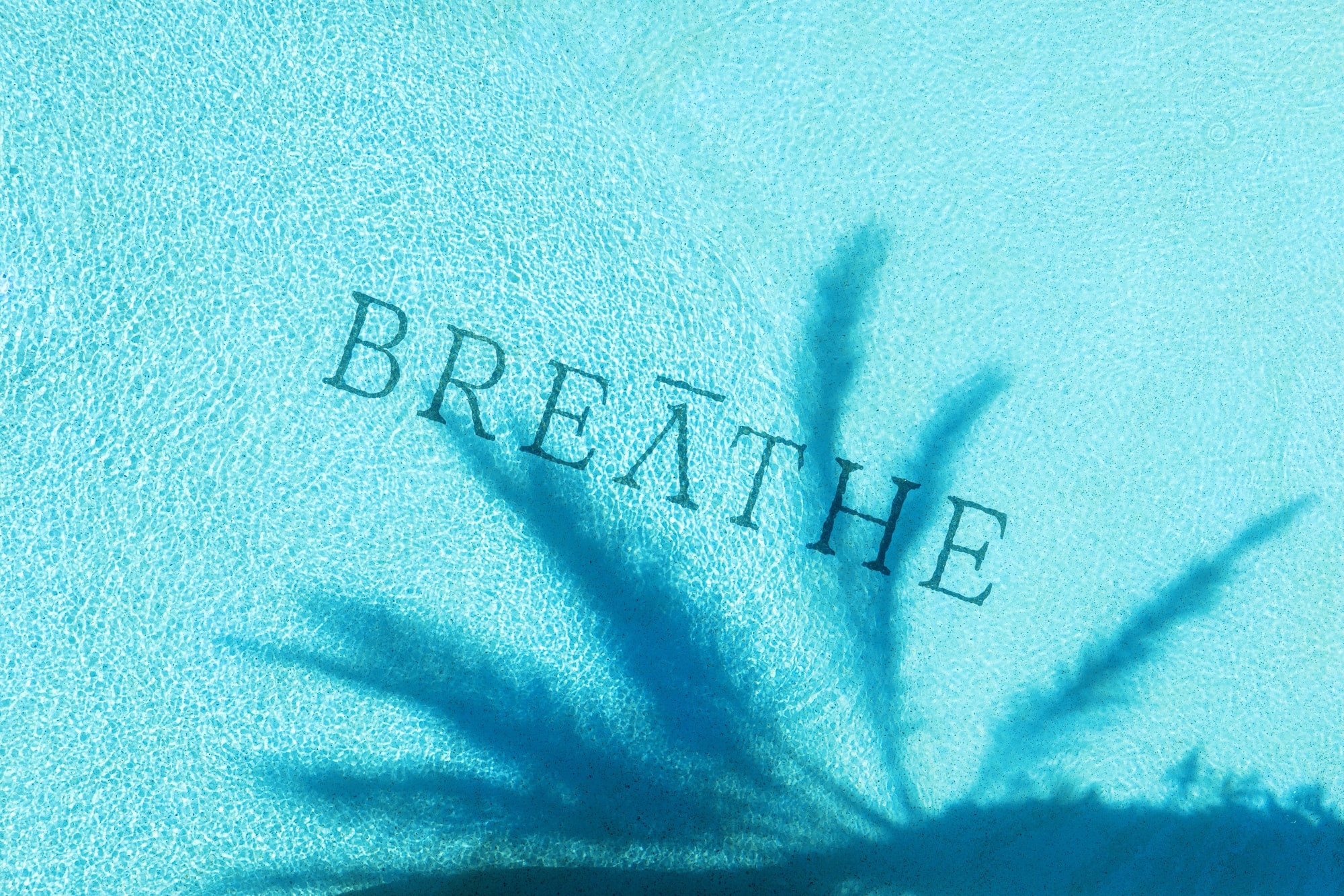 Breathe Sanctuary thermal spa pool in Phuket with palm tree shadow over logo